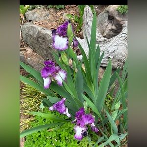 💜Please feel free to make reasonable offers💜